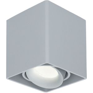 Dimbare LED Opbouwspot plafond Esto Grijs incl. GU10 spot 5W 4000K IP20 kantelbaar