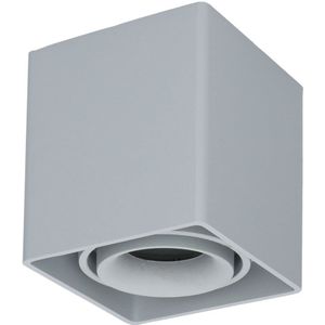 Dimbare LED opbouw plafondspot Esto GU10 Grijs IP20 kantelbaar excl. lichtbron