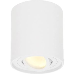 Dimbare LED Opbouwspot plafond Ray Wit incl. GU10 spot 5W 2700K IP20 kantelbaar