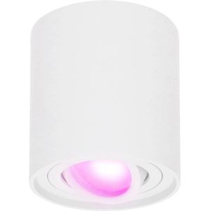 Smart WiFi LED Opbouwspot plafond Ray Wit incl. 5,5W GU10  RGBWW spot IP20 kantelbaar Rond