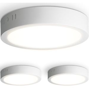 Set van 3 Indiana opbouwspots rond - 12 Watt 1160 Lumen - Wit - 4000K neutraal wit- LED downlight - IP20 stofdicht - 160mm