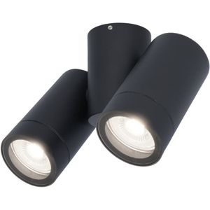 Silva plafondspot - Plafondverlichting - Kantelbaar - 2 spotlights - 6000K daglicht wit - Wandspot - IP65 waterdicht - Zwart