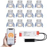 Milano - 12x Smart inbouwspots veranda – Complete Set – Wifi & Bluetooth - Plug & Play - IP65 – LED 2700K warm wit - 200 lumen - 12 volt - 3 Watt - RVS