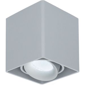 Dimbare LED Opbouwspot plafond Esto Grijs incl. GU10 spot 5W 6000K IP20 kantelbaar