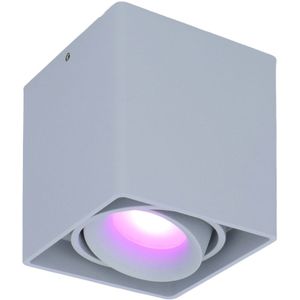 Smart WiFi LED opbouw plafondspot Esto Grijs incl. 5,5W GU10  RGBWW spot IP20 kantelbaar