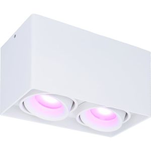 Smart WiFi LED opbouw plafondspot Esto 2 lichts Wit incl. 2x 5,5W GU10  RGBWW spot IP20 kantelbaar
