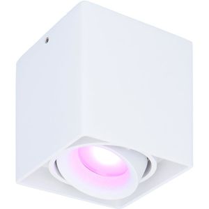 Smart WiFi LED opbouw plafondspot Esto Wit incl. 5,5W GU10  RGBWW spot IP20 kantelbaar