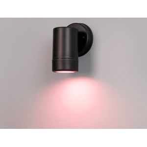 Otey – Smart LED LED Wandlamp Zwart – Downlight - GU10 - RGB WW - Wifi/Bluetooth - IP44 waterdicht - Voor binnen & buiten - Wandspot - Polycarbonaat