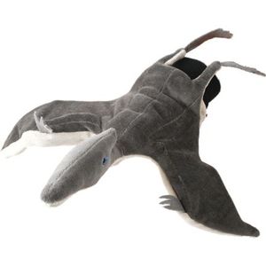 Handpop pterodactylus