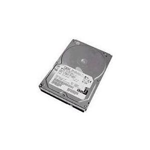 Lenovo 73Gb Hotswap 3,5 inch 10K U320 (0.07 TB, 3.5"), Harde schijf