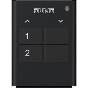 JUNG Radio-handzender (Afstandsbediening), Elektronica benodigdheden + Behuizing, Grijs