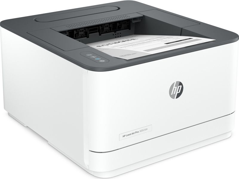 HP - LaserJet Pro 3002dn - Printer - Zwart - Laser
