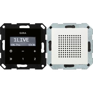Gira Systeem 55 (FM), Radio, Zwart, Wit