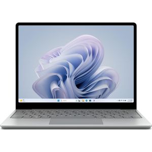 Microsoft Surface Laptop Go3 256 GB (i5/8 GB) Platina DE/AT W10P (12.40"", Intel Core i5-1235U, 8 GB, 256 GB, NL), Notebook, Zilver