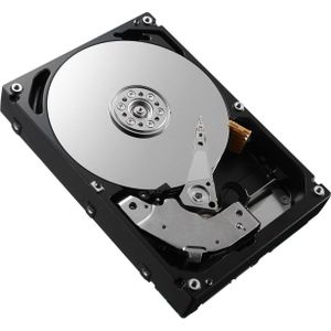 Dell 4TB 7.2K 12GB 3.5INCH SAS HDD (4 TB, 3.5"), Harde schijf