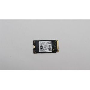 Lenovo Ssd asm (256 GB, M.2 2242), SSD