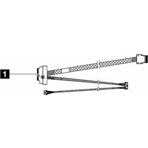 Lenovo - Opslagkabelkit - voor M.2 NVMe 2-Bay RAID - Server Accessoires