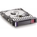 HP 6G Sata 7,2k 3,5in SC MDL - 1TB (1 TB, 3.5"), Harde schijf