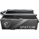 MSI SPATIUM M570 PRO FROZR (2000 GB, M.2 2280), SSD