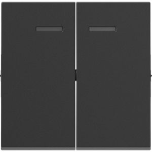 Legrand - SEANO Serie - Knoppen + Schakelaars - Grijs - Antracietlak