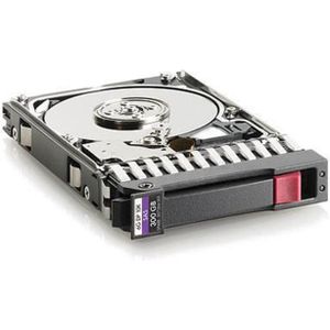 Hewlett Packard Enterprise - EG000300JWEBF - Harde Schijf - 300GB - 2.5" - SAS