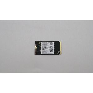 Lenovo Samsung PM991A 256 GB (256 GB, M.2 2242), SSD
