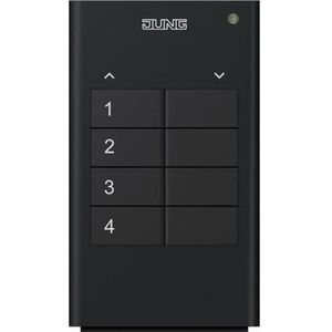 JUNG Radio-handzender (Afstandsbediening), Elektronica benodigdheden + Behuizing, Grijs