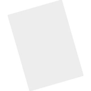 Zebra - MISC-MC93-SCRN-01 Accessoires - Beeldschermbeschermer - Voor MC9300