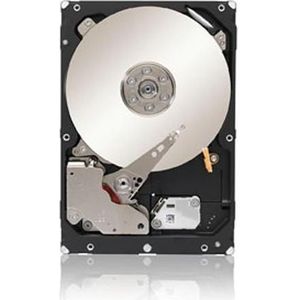 IBM Harde schijf 300 GB (0.30 TB, 3.5"), Harde schijf