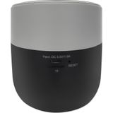 Manhattan 165051 Draagbare & party speaker Zwart, Grijs 3 W