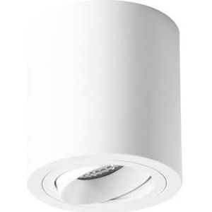 Brumberg Ronde wandmodule, HiFi + Home Cinema luidsprekers, Wit