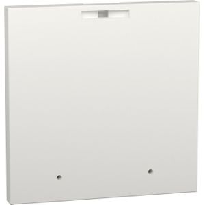 Schneider PrismaSeT-P, blanco voorpaneel, 72x72mm, met voorgestanste LVS03907, Accessoires voor serverkasten, Wit