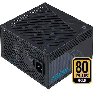 Azza PSAZ-750G(ATX3.0) Voeding 80+ GOLD PCIe 5.0 retail (80 W), PC-voedingseenheid, Zwart