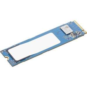Lenovo ThinkCentre 1TB Value PCIe Gen4 NVMe OPAL 2.0 M.2 2280 SSD II (1000 GB, M.2 2280), SSD