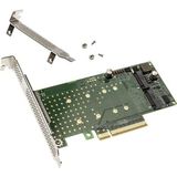 Delock - PCI Express x8 - Storage Controller - Zwart - 2 x interne NVMe M.2 Key M