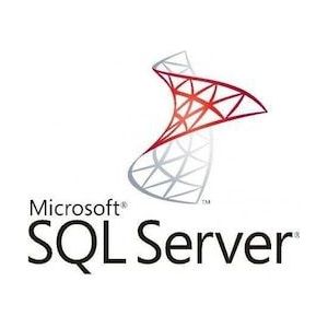 Microsoft MS OVL-NL SQL CAL SA 3YR Acq Y1 Additional Product User CAL Enkelvoudige taal voor Windows