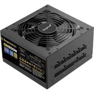 Segotep GM850W 850W 80PLUS Gold PCIE 5.0 ATX 3.0 Full Modular Power Supply Black (850 W), PC-voedingseenheid, Zwart