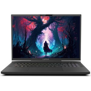 Captiva High-end Gaming I81-487 Core i9 RTX 4070 (17.30"", 32 GB, 2000 GB, NL), Notebook, Zwart