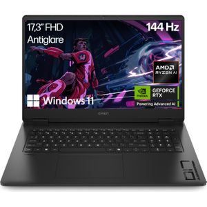 HP Omen 17-db1091ng (17.30", 1000 GB, 16 GB, DE, AMD Ryzen AI 9 365), Notebook, Zwart