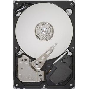 Seagate Serie DB35.4 ST3250310CS (0.25 TB, 3.5"), Harde schijf