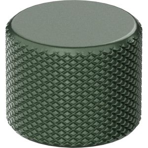 Glorious GMMK 3 Rotary Knob, Sage Green, Muis + Toetsenbord Accessoires, Groen