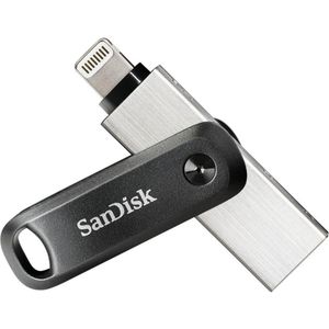 SANDISK iXpand Go (256 GB, USB-A), USB-stick, Grijs