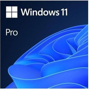 Microsoft - Windows 11 Pro - Besturingssysteem - OEM - DVD