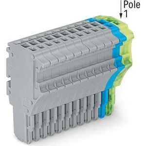 10x Wago 1-draads vrouwelijke multipoint connector, Elektronica benodigdheden + Behuizing, Grijs