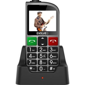 Evolveo EasyPhone FM (2.3&quot;) Zilveren Seniorentelefoon (2.30"", 2G), Sleutel mobiele telefoon, Zilver