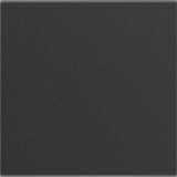 LEGRAND - SEANO - Wipschakelaar - Antraciet Gelakt - 2-polige Uitschakelaar