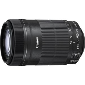 Canon - EF-S 55-250mm f/4-5.6 IS STM - Objectief - Zwart