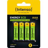 Oplaadbare NiMH-Batterijen - AAA - 1,2 V - 1000 mAh - Tot 1000 Keer Oplaadbaar