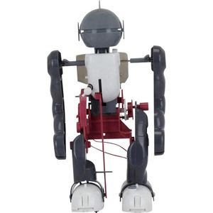 Arexx Wandelende robotset JSR-TMB, Robotica kit