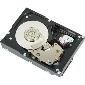 DELL 1D9NN interne harde schijf 3.5" 2 TB SAS